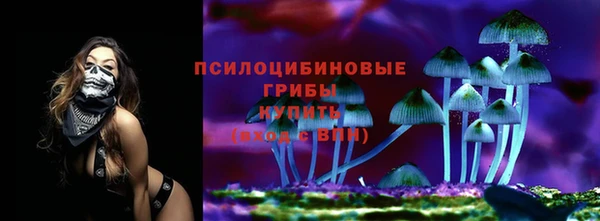 альфа пвп Медногорск
