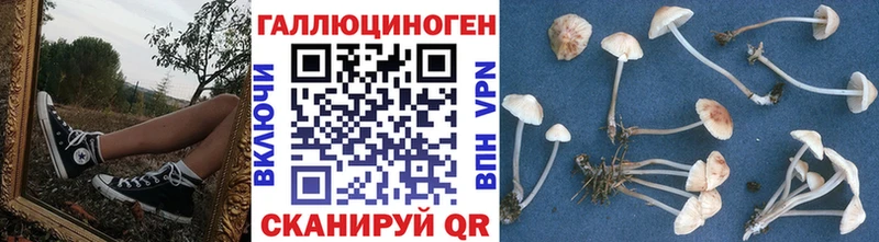 Псилоцибиновые грибы мухоморы  кракен зеркало  Змеиногорск 